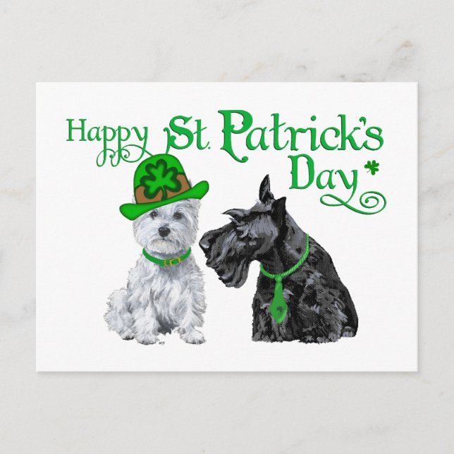 Scottie & Westie St. Patrick's Day Vykort (Framsida)