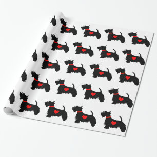 Scottiehund som slår in papper presentpapper