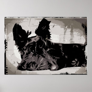 Scottiehund som vilar med stads- stilbakgrund poster