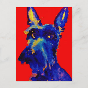 Scottiehund Vykort
