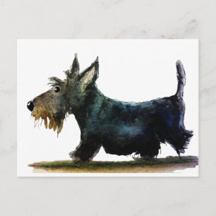 Scottiehund Vykort