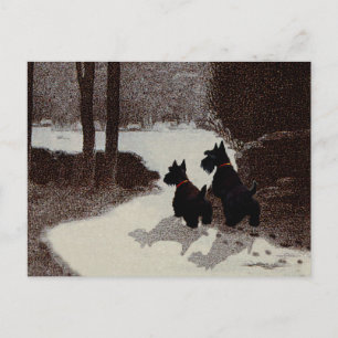Scotties på en surrealistisk vinternatt vykort