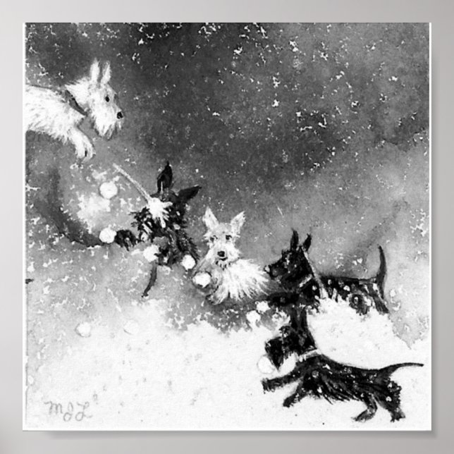 Scotties Snö Fight Poster (Framsidan)