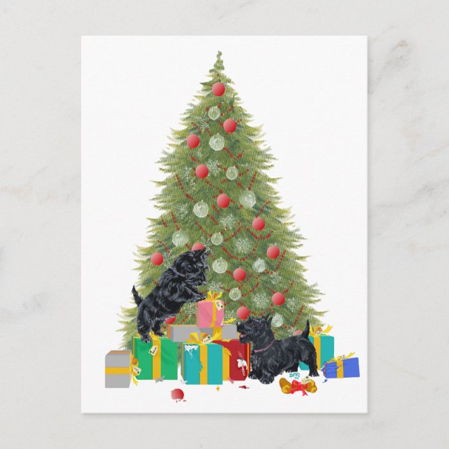 Scotties Sort the Christmas Gifts Helg Vykort (Framsida)