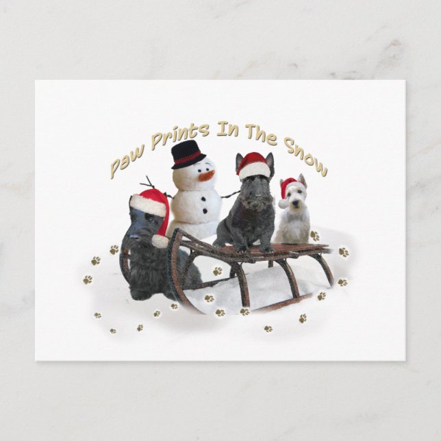 Scottish A Time for Play Vykort (Framsida)