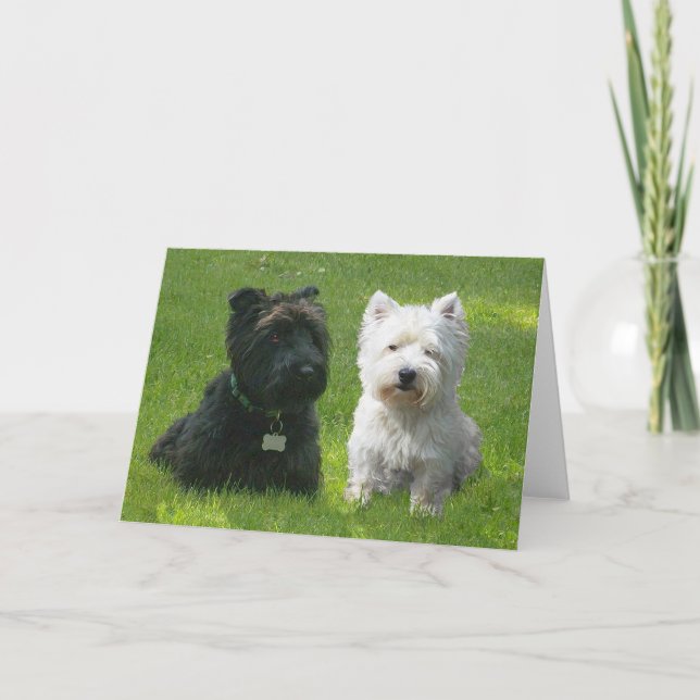 Scottish and Väster Highland Terriers Greenwood Kort (Framsida)