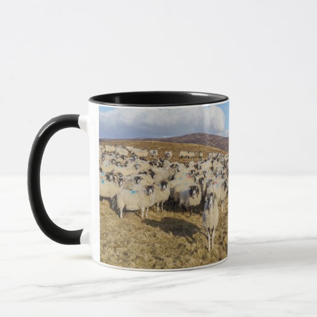 Scottish Blackface Sheep Herd Mugg (Vänster)