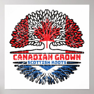 Scottish Canadian Canada Träd Roots Flagga Poster