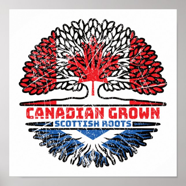 Scottish Canadian Canada Träd Roots Flagga Poster (Framsidan)