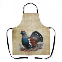 Scottish Capercaillie on Heather Pen and Bläck Apr