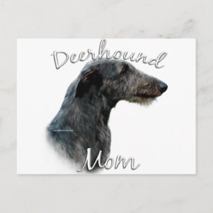 Scottish Deerhound Mamma 2 Vykort