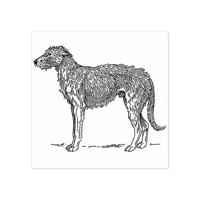 Scottish Deerhound Stämpel (Tryck)