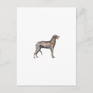 Scottish Deerhound Vykort