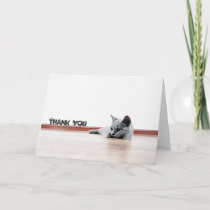 Scottish Fold Cat Kitten Toppen Cute "Tack" Tack Kort