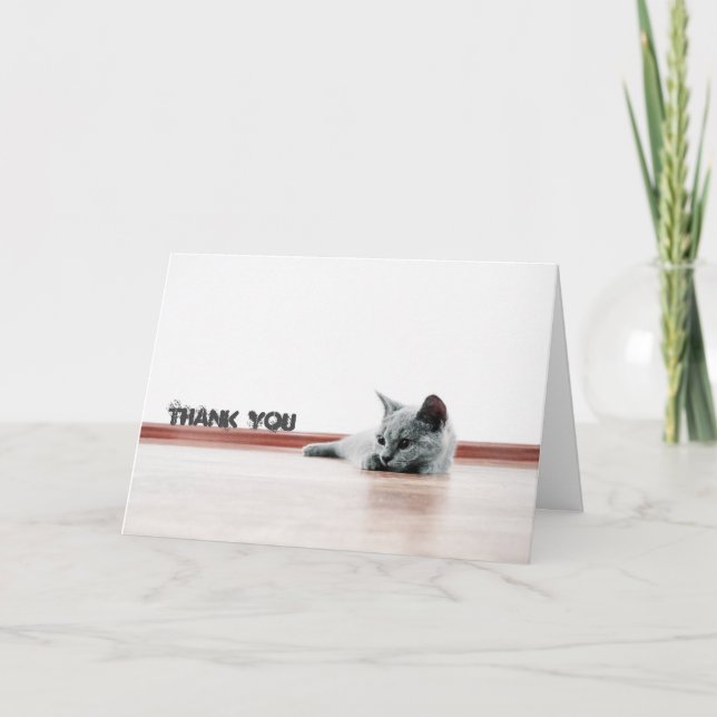 Scottish Fold Cat Kitten Toppen Cute "Tack" Tack Kort (Framsida)