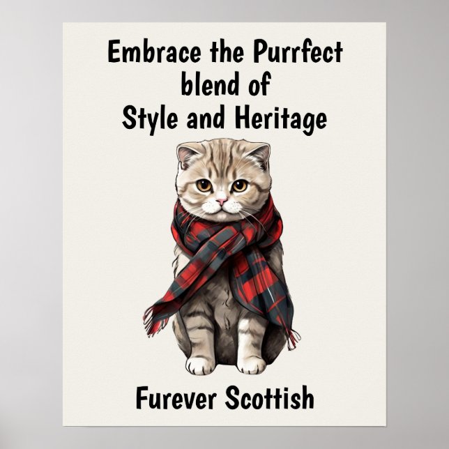 Scottish Fold Cat Poster (Framsidan)