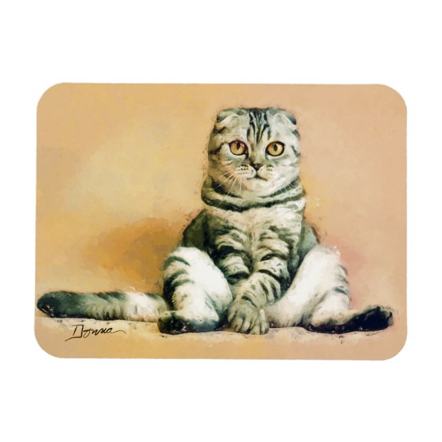 Scottish Fold Cat Sitta Porträtt Magnet (Horisontell)