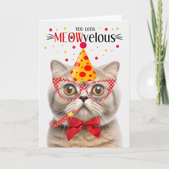 Scottish Fold Cream Cat MEOWvelous Birthday Kort (Framsida)