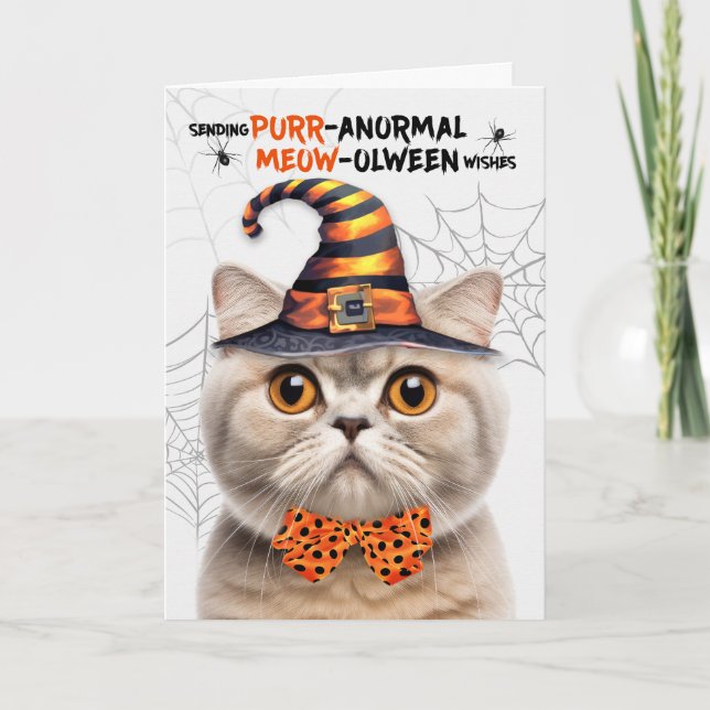 Scottish Fold Cream Cat PURRanormal MEOWolween Helgkort (Framsida)