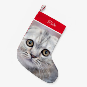 Scottish Fold-julklapp Liten Julstrumpa