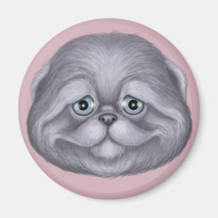 Scottish Fold Kitten Magnet