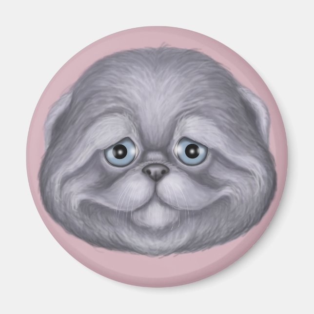 Scottish Fold Kitten Magnet (Framsidan)