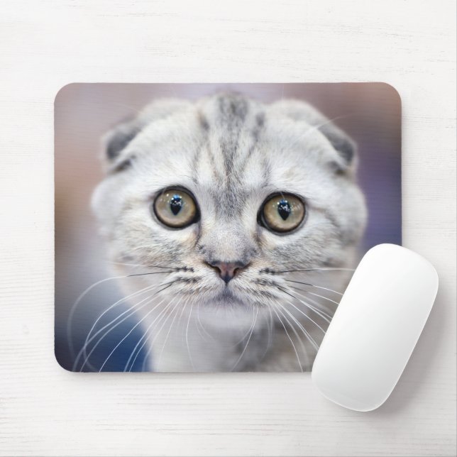 Scottish Fold Mouse Pad Musmatta (Med mus)
