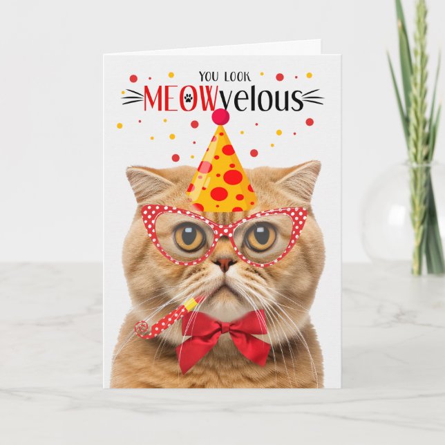 Scottish Fold Orange Cat MEOWvelous Birthday Kort (Framsida)