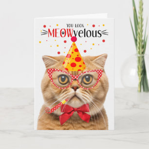 Scottish Fold Orange Cat MEOWvelous Birthday Kort