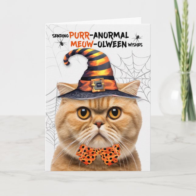 Scottish Fold Orange Cat PURRanormal MEOWolween Helgkort (Framsida)