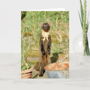 Scottish gräs marten card kort