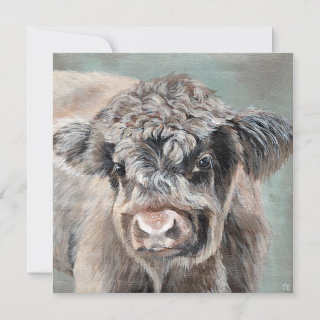 Scottish Highland Calf on Green (Framsida)