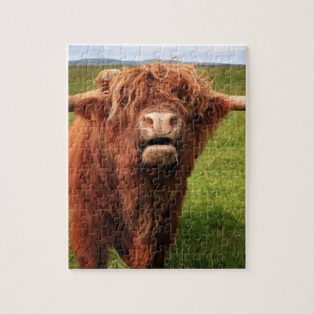 Scottish Highland Cattle - Scotland Pussel (Vertikal)