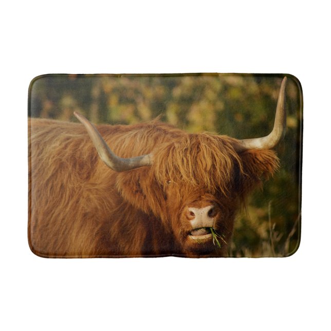 Scottish Highland Cow Badrumsmatta (Framsidan)