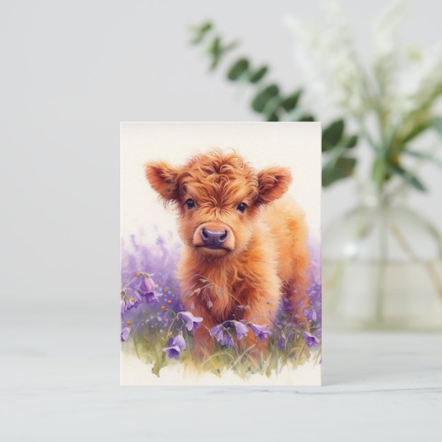 Scottish Highland Cow Calf Lila Wildblommor Vykort (Stående Fram)