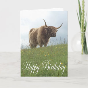 Scottish Highland Cow Kort