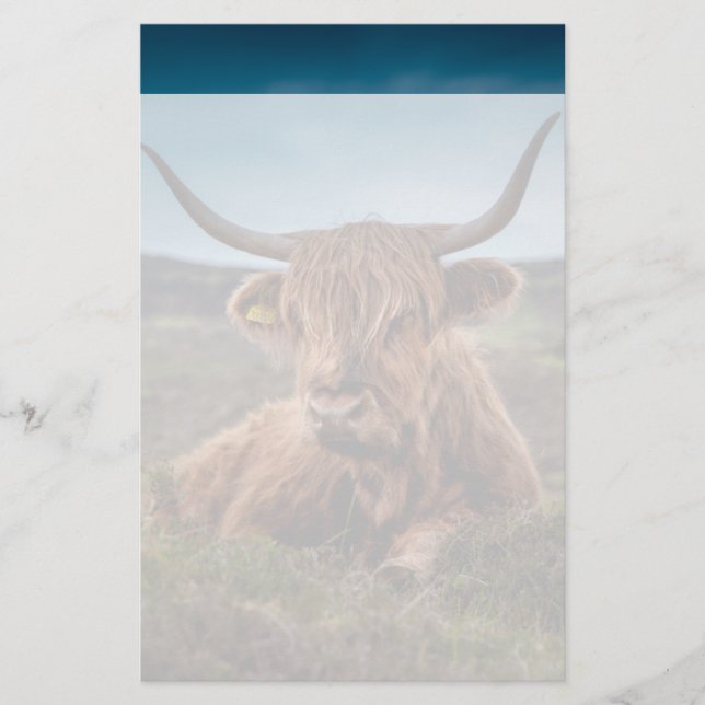 Scottish Highland Cow Longhorn Bull Rancher Brevpapper (Framsida)