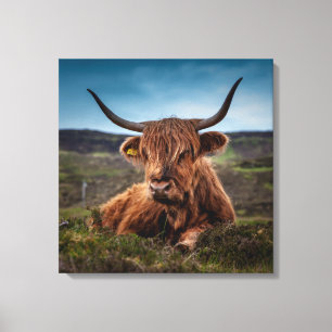 Scottish Highland Cow Longhorn Bull Rancher Canvastryck
