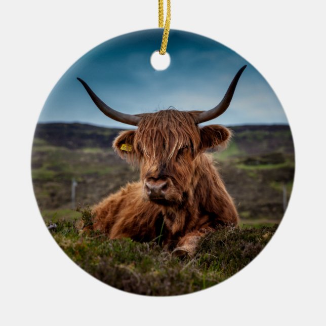 Scottish Highland Cow Longhorn Bull Rancher Julgransprydnad Keramik (Framsidan)