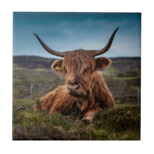 Scottish Highland Cow Longhorn Bull Rancher Kakelplatta