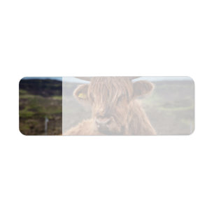 Scottish Highland Cow Longhorn Bull Rancher Returadress Etikett