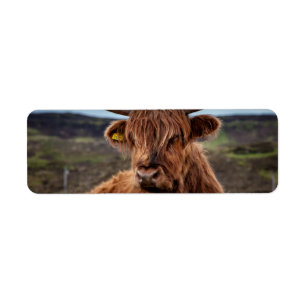 Scottish Highland Cow Longhorn Bull Rancher Returadress Etikett