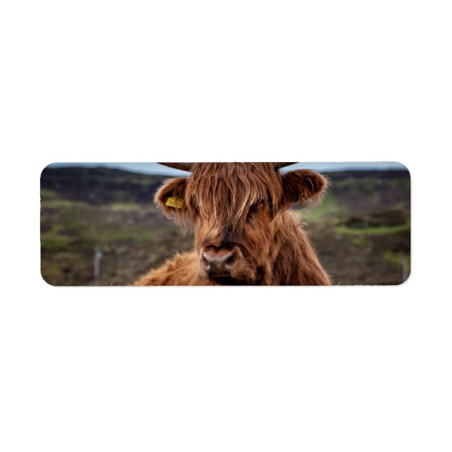 Scottish Highland Cow Longhorn Bull Rancher Returadress Etikett (Framsidan)