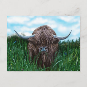 Scottish Highland Cow Painting Vykort