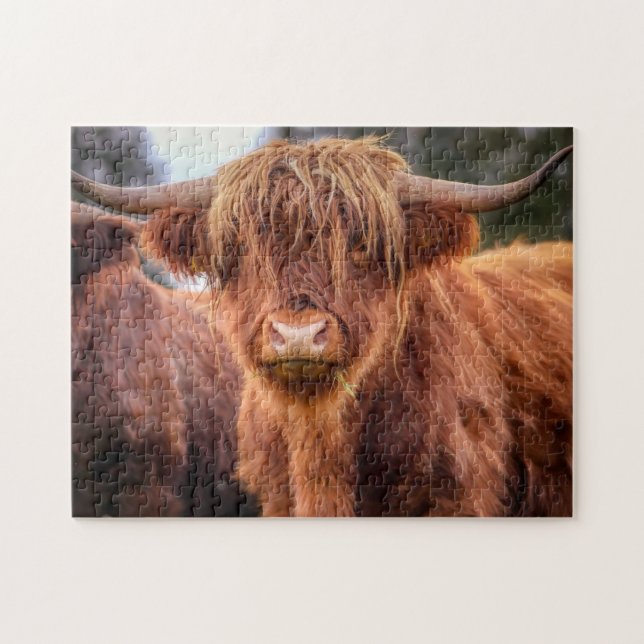 Scottish Highland Cow Pussel (Horisontell)