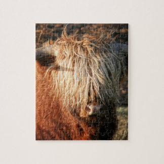 Scottish Highland Cow - Scotland Pussel