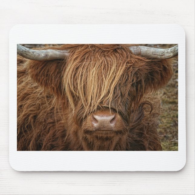 Scottish Highland Cow - Skottland Musmatta (Framsidan)