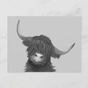 Scottish Highland Cow Vykort