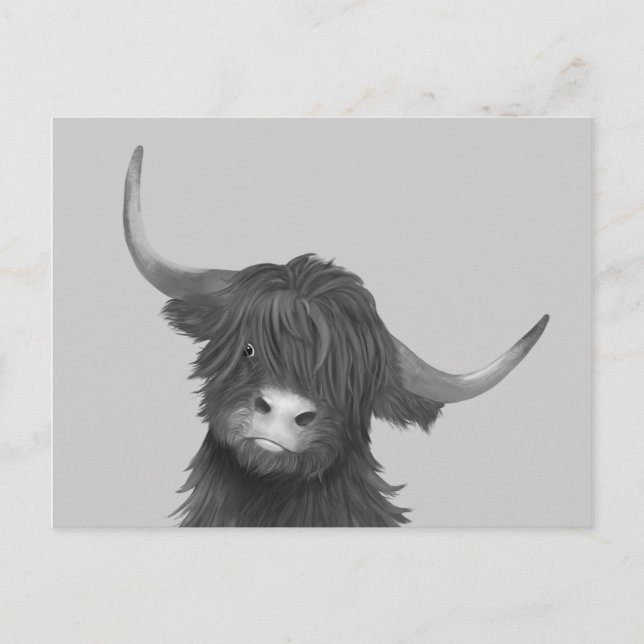 Scottish Highland Cow Vykort (Framsida)