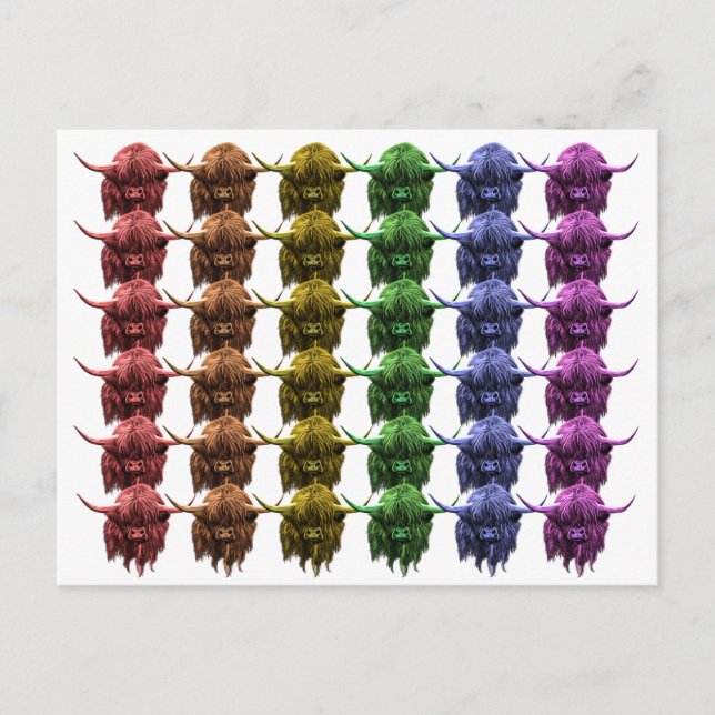 Scottish Highland Cow Vykort (Framsida)